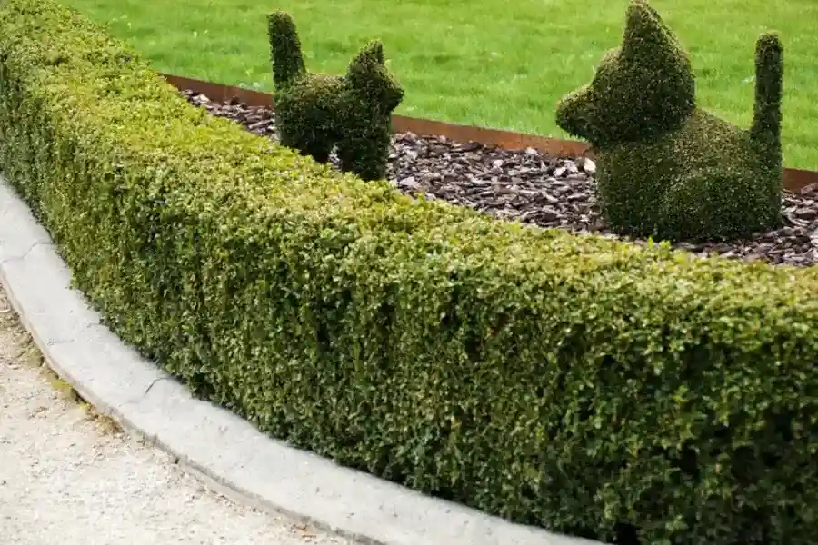 Top-rated Concrete Curbing Ontario, CA Top-rated Concrete Curbing Ontario, CA